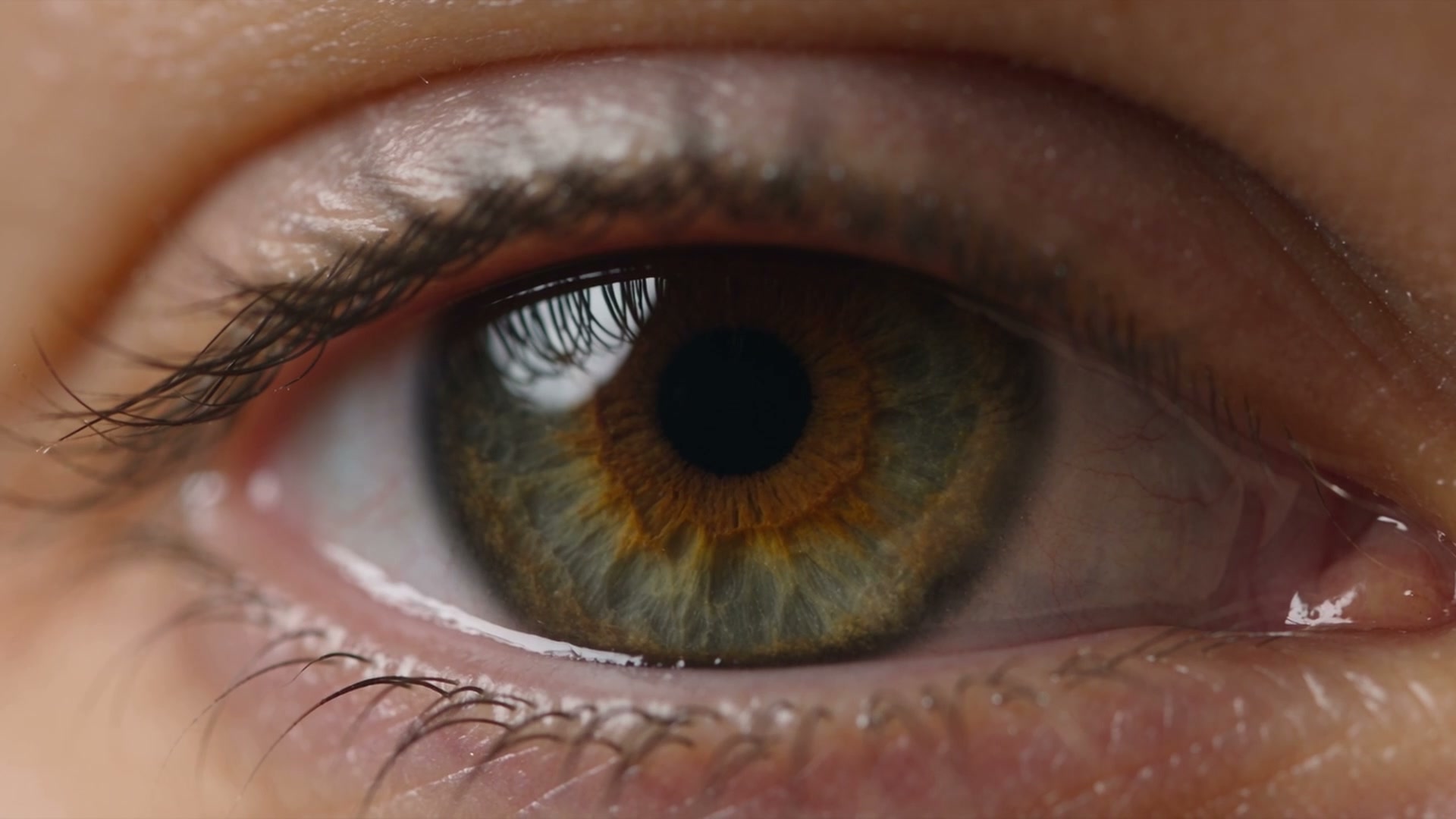 Extreme close-up of a human eye